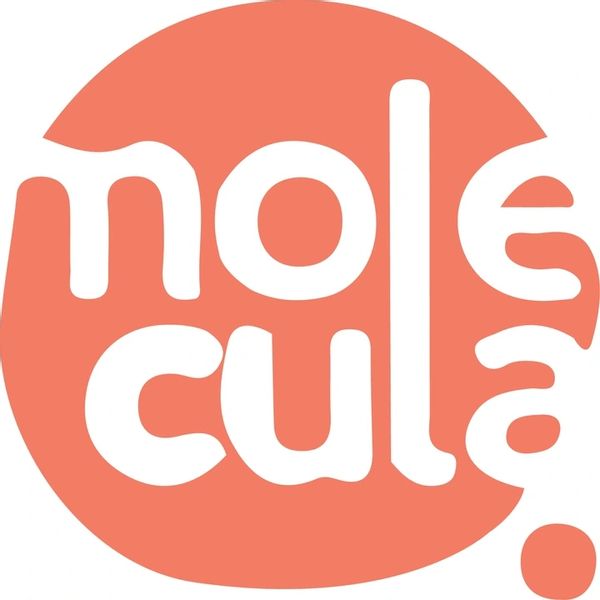 SYROP DO BUBBLE TEA 2.5 KG KONCENTRAT SOK MANGO zdjęcie 2