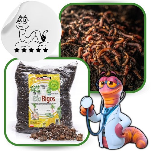 Ziemia do Kwiatów Podłoże do Monstery palm 20L Bio Bigos Lekkie na Arena.pl