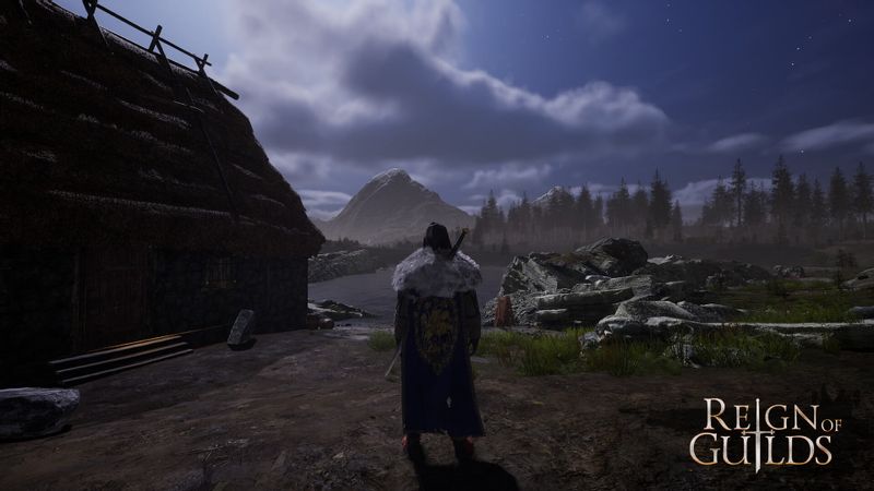 Reign of Guilds Klucz CD KEY KOD BEZ VPN WYSYŁKA 24/7 zdjęcie 2