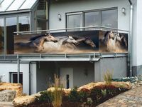 Osłona balkonowa NA WYMIAR na balkon konie tanio