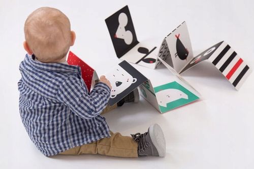 CZUCZU STARTER MALUCHA KSIĄŻECZKI SENSORYCZNE KONTRASTOWE 0M+ na Arena.pl