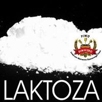 Laktoza (lactose) - niefermentowalny cukier mlekowy - op. 250 g