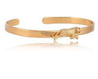 bransoletka z tygrysem z kolekcji teen vibe (b24/tyn/14au)