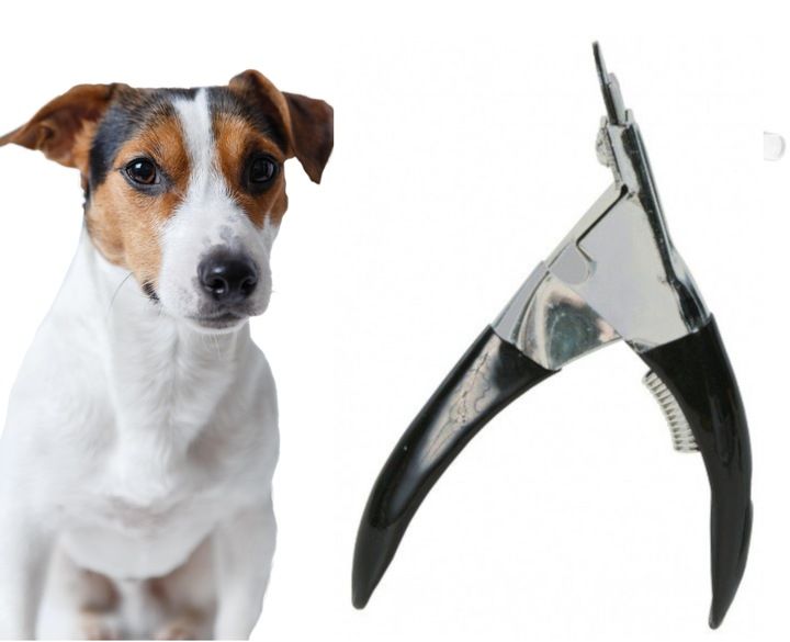 Obcinacz Gilotynka do pazurów zdjęcie 1