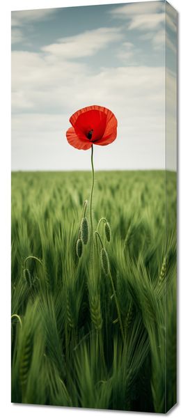 Obraz 40x100cm Samotny Mak na Polu zdjęcie 1