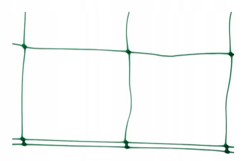 Siatka Podpora warzyw roślin pnących 2x10m 15x17cm AS-CN08151720010 na Arena.pl