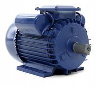 SILNIK ELEKTRYCZNY JEDNOFAZOWY 220V 2,2kW 2800RPM