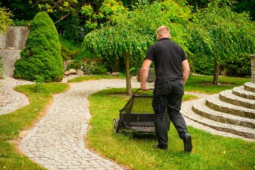 CEDRUS SP31110 ZBIERACZ ZAMIATARKA DO TRAWY LIŚCI Z KOSZEM 66cm na Arena.pl