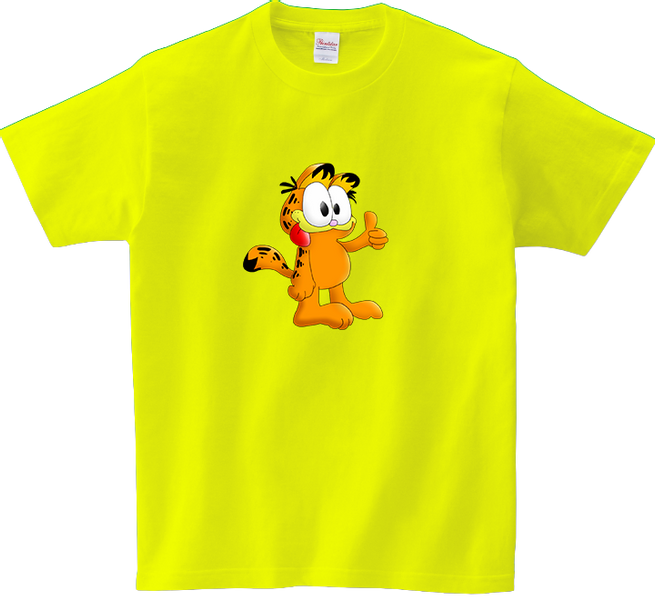 Koszulka T-shirt Garfield zdjęcie 1