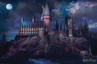 Harry Potter Hogwarts - plakat 91,5x61 cm