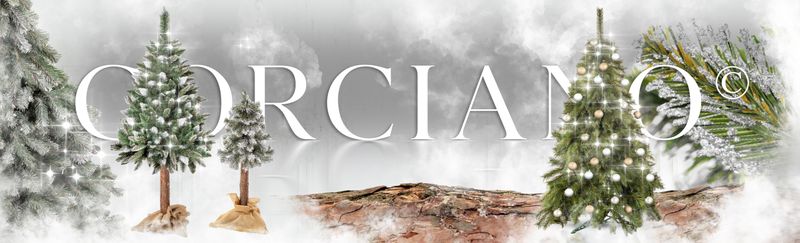 Choinka Świerk Leśny 220cm zdjęcie 8