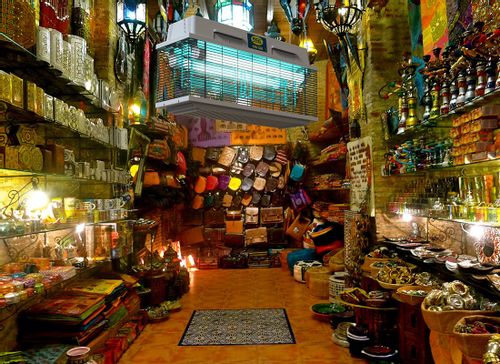 Lampa Rażąca CRI CRI 308E Professional na Arena.pl