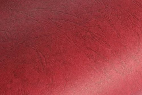 Karton Delta Skóropod. A4 Czerwony (100) 2186 na Arena.pl