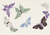 Plakat 100x70cm Butterfly 12, Sekka Japoński Vintage do Salonu