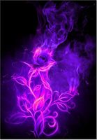 product-compare-58710314