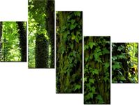 100 75CM OBRAZ 5 ELEM PARKOWY BLUSZCZ ŚCIENNY