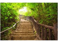 60X40CM SCHODAMI GÓRĘ OBRAZ