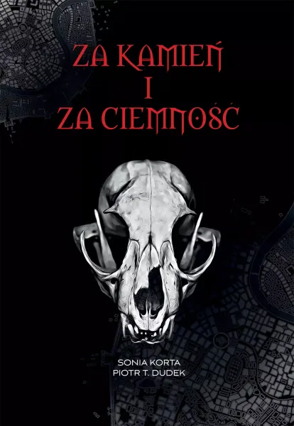 Za kamień i za ciemność zdjęcie 1