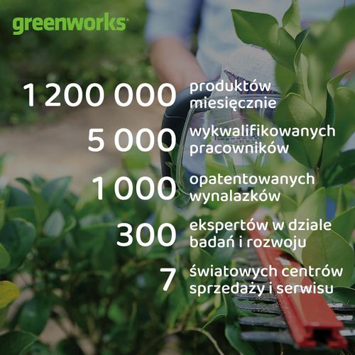 Piła łańcuchowa Greenworks na Arena.pl