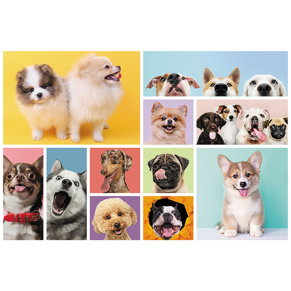 Puzzle - 160 - Psia przyjaźń - Trefl 15412 zdjęcie 2