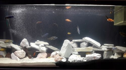 ŻWIREK CZARNY 1-3 mm PODŁOŻE DO AKWARIUM 25kg na Arena.pl