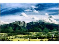 product-compare-58681939