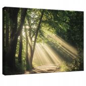 OBRAZ NA PŁÓTNIE ŚCIANĘ LAS NATURA DRZEWA DO SYPIALNI SALONU KUCHNI 120x80