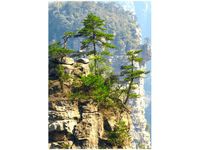 100 70CM OBRAZ PŁÓTNO WIDOK GÓRY PŁÓTNO RAMA