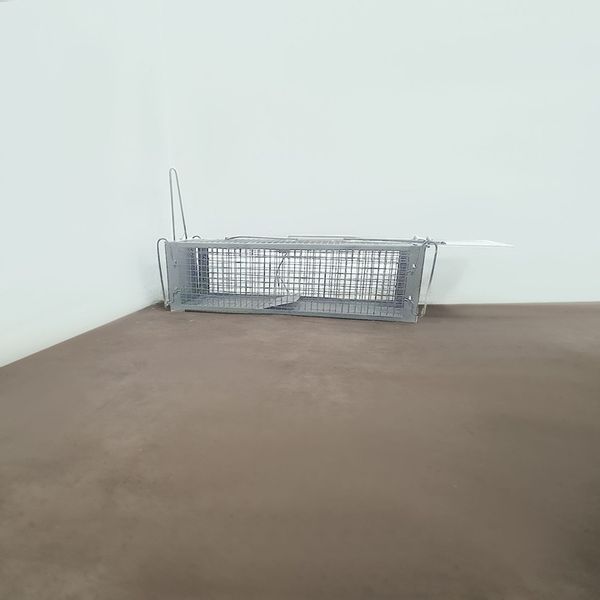 Żywołapka Pułapka na Szczury Kuny Łaski Norki Chwytacz Myszołapka XL Repest zdjęcie 4