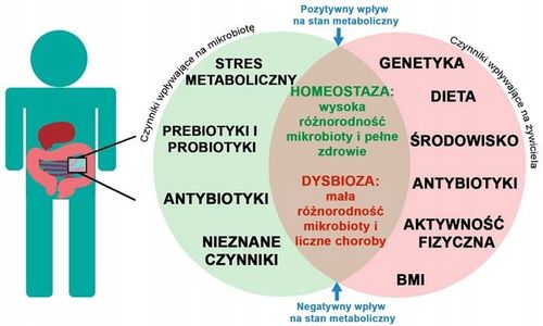 Suplement diety ProBiotics Polska Esencja Probiotyczna probiotyki 1000 ml na Arena.pl