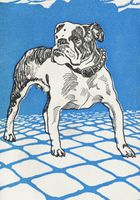 Plakat 70x100cm Bulldog, Moriz Jung Vintage do Salonu