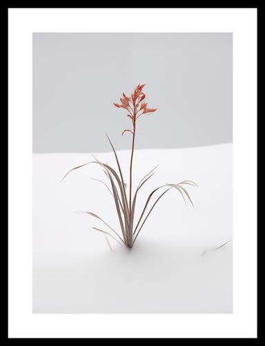 Plakat 25x35cm Subtelność Natury na Arena.pl