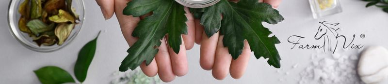 Krem z KONOPII 50ml FARMVIX zdjęcie 2