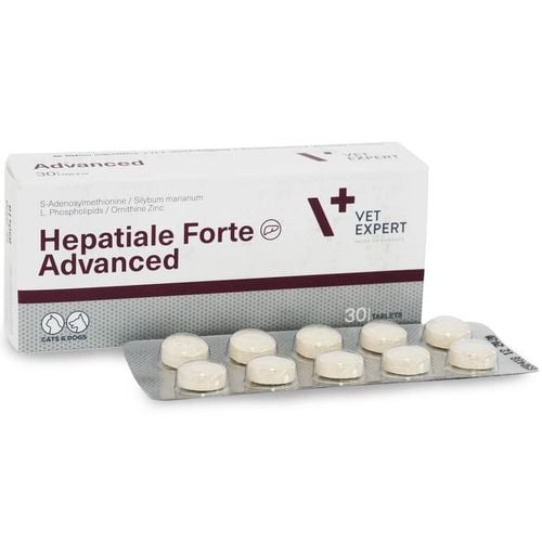 VetExpert Hepatiale Forte Advanced 30 tabletek na Arena.pl