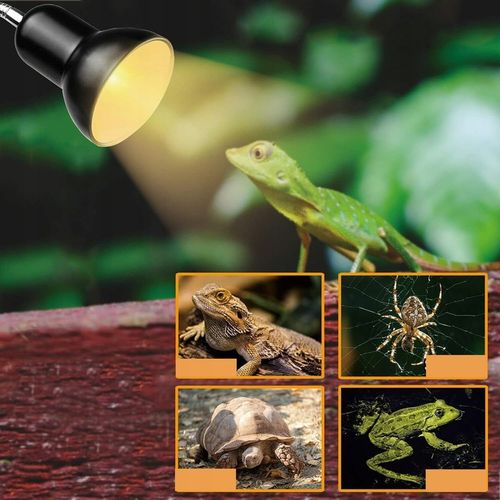 LAMPA GRZEWCZA DO AKWARIUM GADÓW ŻÓŁWIA WĘŻA Z 2 ŻARÓWKAMI UVA UVB 25 na Arena.pl