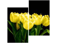 60X60CM ŻÓŁTE TULIPANY- MARK FREETH DWU OBRAZ ŚCIAN