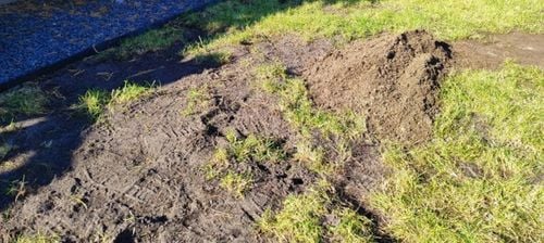 RĘCZNY NIWELATOR TERENU 90cm LEVELAWN, LEVEL RAKE GRABIE TRAWNIK na Arena.pl