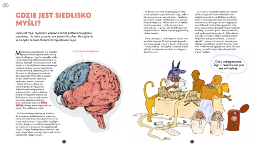 Jego wysokość mózg na Arena.pl