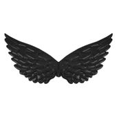 Skrzydła anioła czarne, 44x22 cm