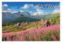 Tatry fiolet - magnes szklany