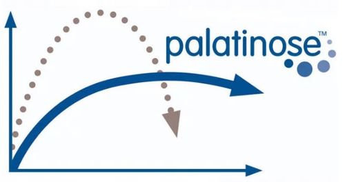 IZOTONIK W PROSZKU DLA BIEGACZY KOLARZY Najlepszy w 2024r. Amix IsoLyte na Arena.pl