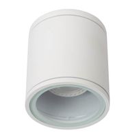 Downlight lampa zewnętrzna Aven 22962/01/31 biała tuba IP65 outdoor