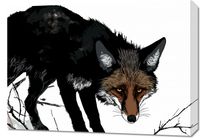 Obraz 70x50cm Nieufny Lis