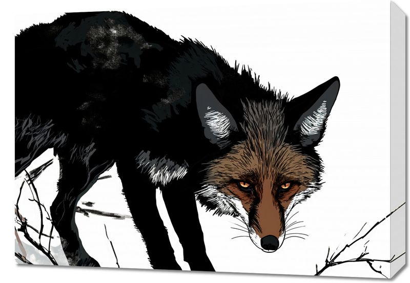 Obraz 70x50cm Nieufny Lis zdjęcie 1