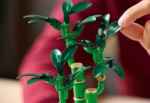 10344 - lego the botanical collection - dracena sandera na Arena.pl