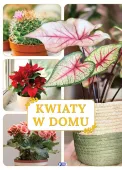 Kwiaty W Domu