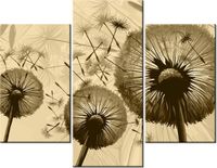 product-compare-58712024