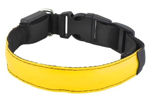 Obroża LED żółta - M na Arena.pl