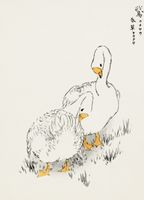 Plakat 20,5x28,4cm Duck and Young Grass, Kashu Vintage do Salonu