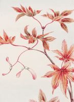 Plakat 13x18cm Branch of Momiji, Morikaga Japoński Vintage